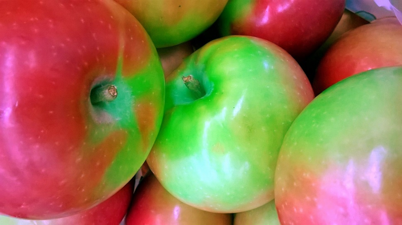 Illustration for article titled 9 Delicious Photos Of Produce That Will Probably Turn You Vegan